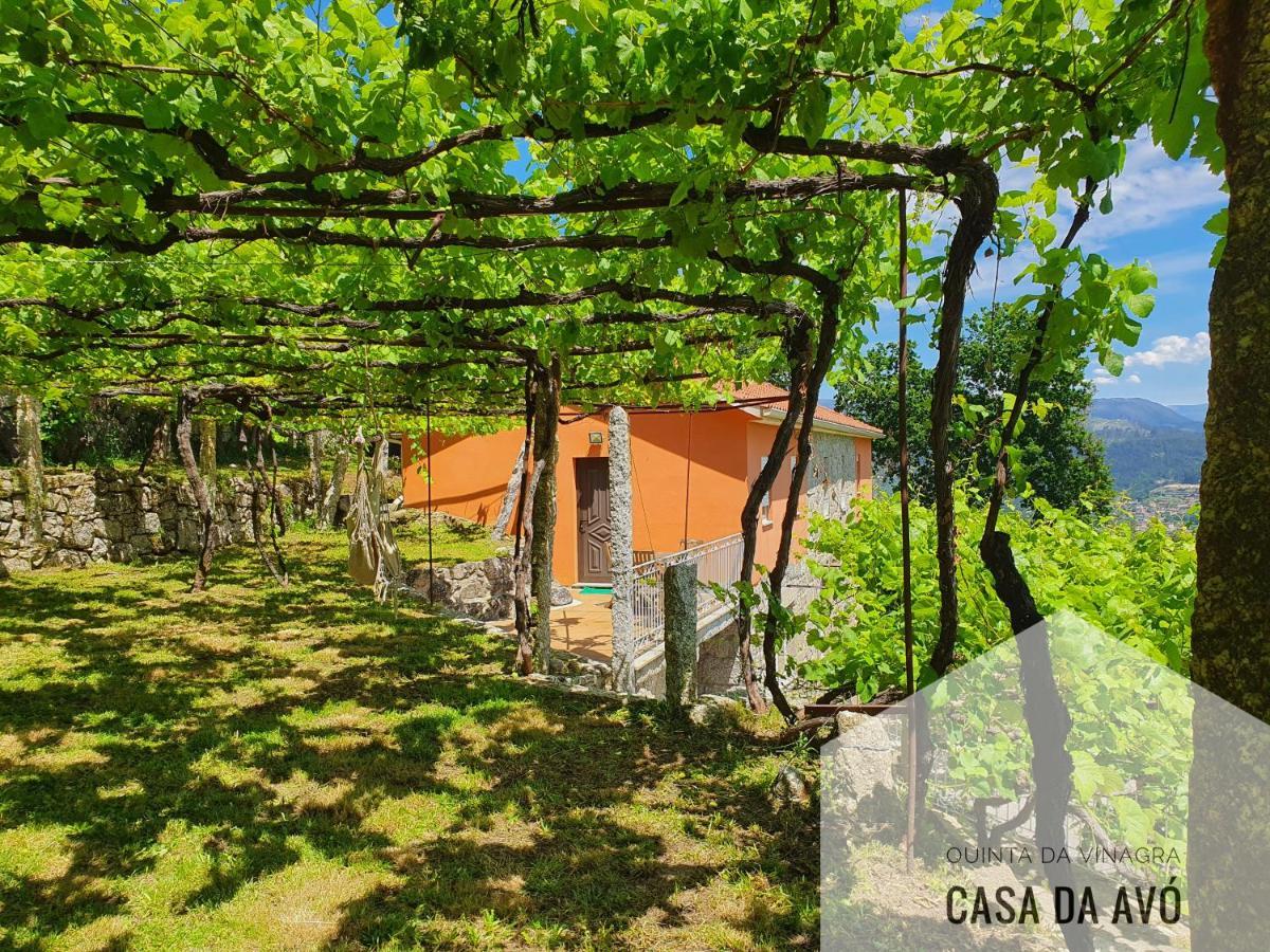 הוילה Tourim Quinta Da Vinagra מראה חיצוני תמונה