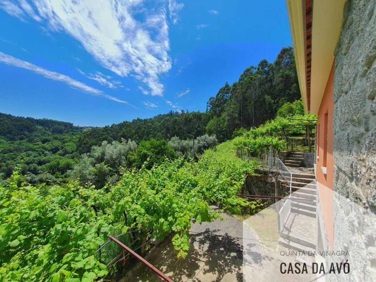הוילה Tourim Quinta Da Vinagra מראה חיצוני תמונה