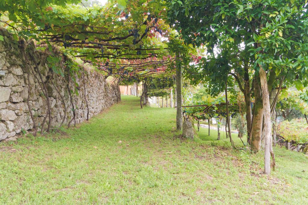 הוילה Tourim Quinta Da Vinagra מראה חיצוני תמונה